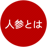 ginseng